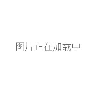 北京六一凝膠成像分析系統WD-9413C